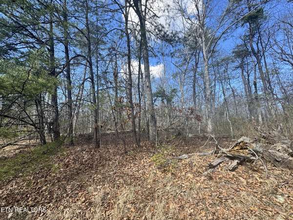 0 Divide Tr, Monterey, TN 38574