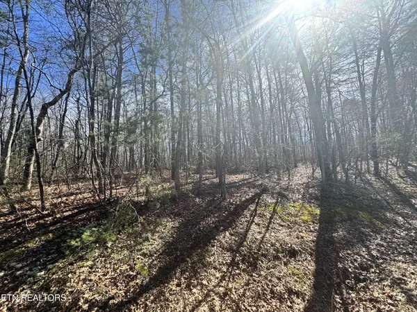 0 N Laurel Loop, Monterey, TN 38574