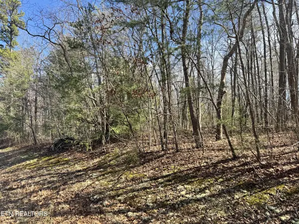 0 N Laurel Loop, Monterey, TN 38574