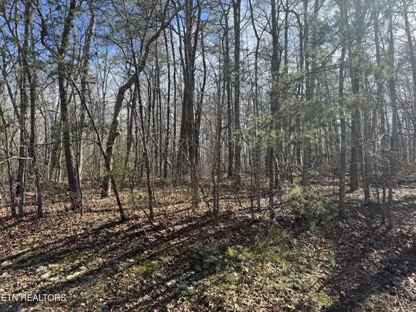 0 N Laurel Loop, Monterey, TN 38574