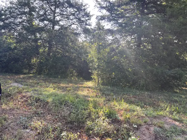0 high Rise Dr, Lyles, TN 37098