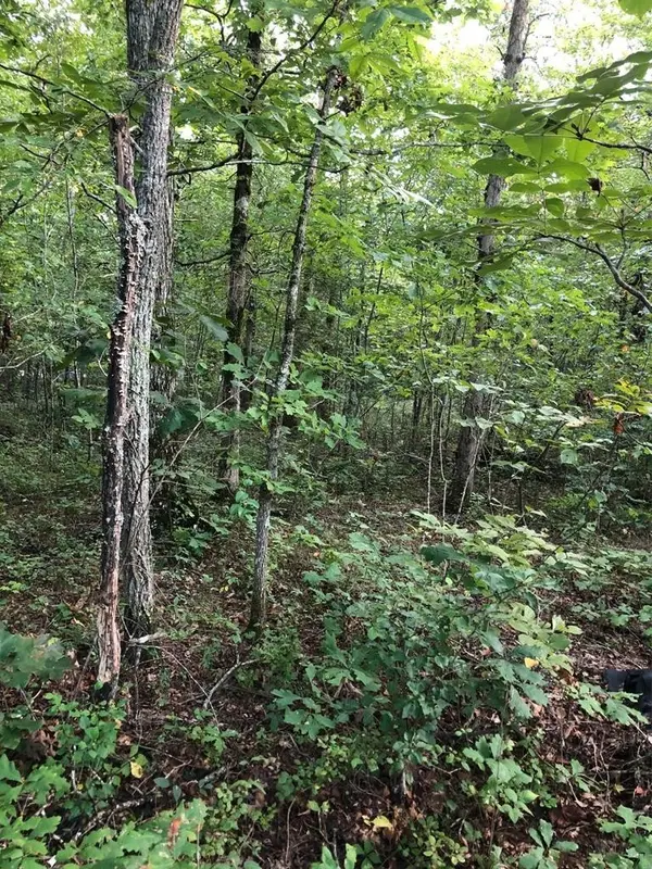 39 Luka Lane, Crossville, TN 38572