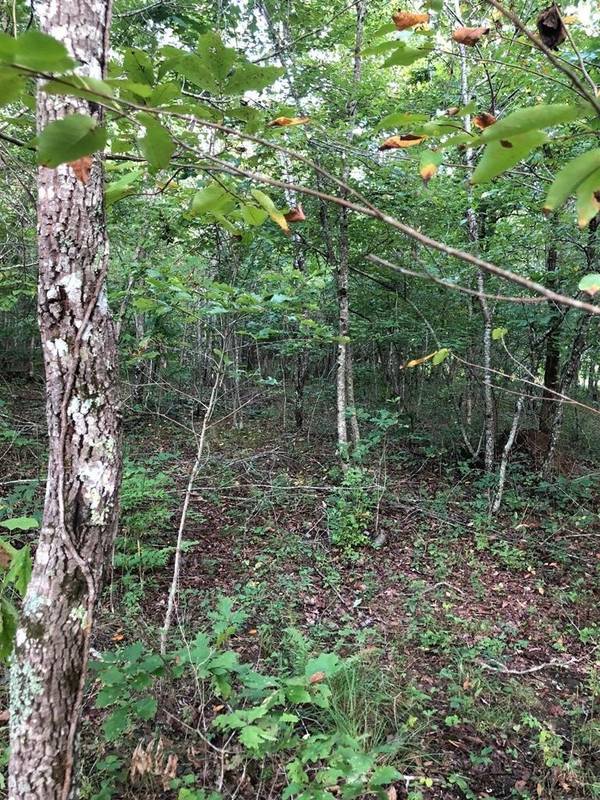 39 Luka Lane, Crossville, TN 38572