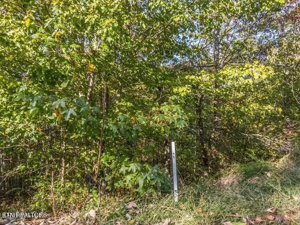 0 Emerald Pointe Circle, Rockwood, TN 37854
