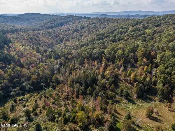 0 Emerald Pointe Circle, Rockwood, TN 37854