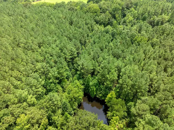 0 Darden Rd, Darden, TN 38328