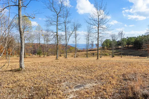 0 Misty View Court, Jasper, TN 37347