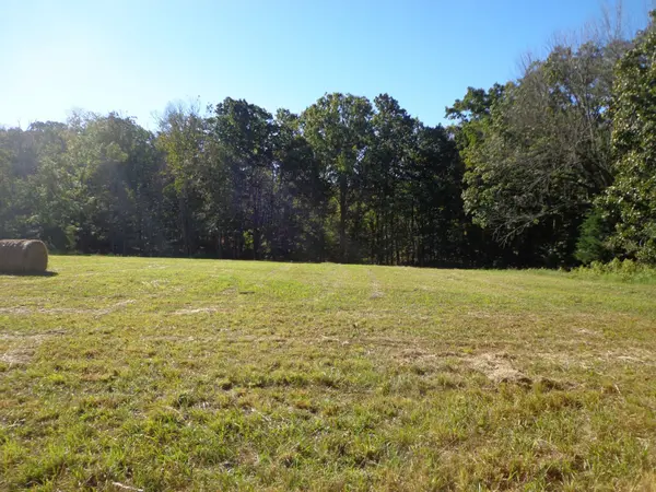 0 Halls Creek Road, Waverly, TN 37185