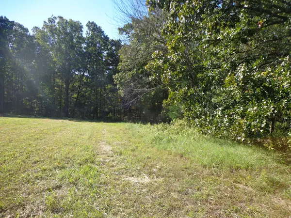 0 Halls Creek Road, Waverly, TN 37185
