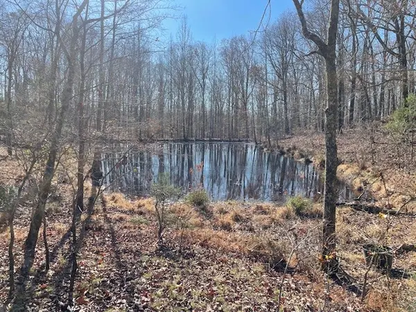 0 Halls Creek Road, Waverly, TN 37185