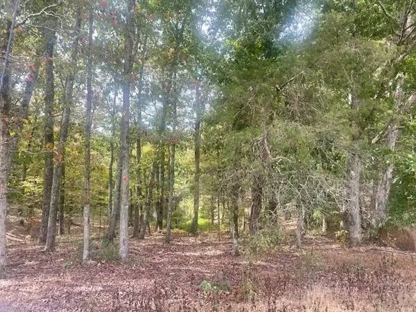 0 Halls Creek Road, Waverly, TN 37185
