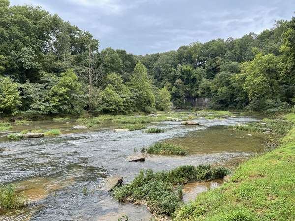 0 Cove Ln, Lawrenceburg, TN 38464