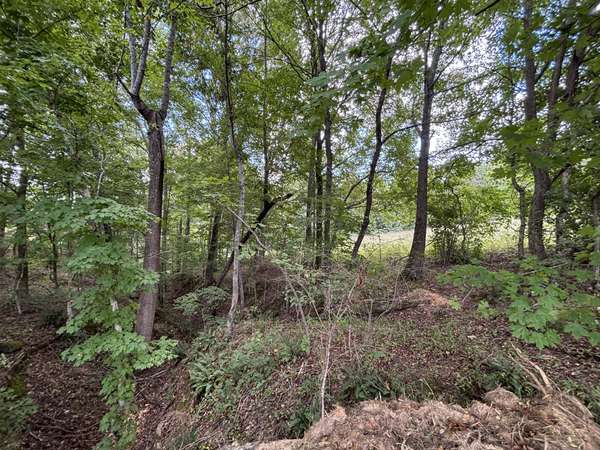 0 Highway 7, Lyles, TN 37098