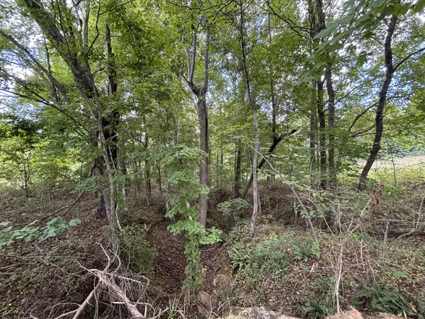 0 Highway 7, Lyles, TN 37098
