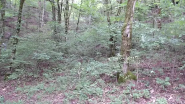 0 Old Hwy 53 S, Celina, TN 38551