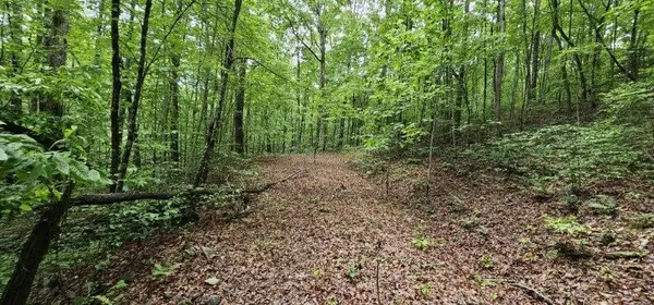 0 Oak Leaf Lane, Dunlap, TN 37327