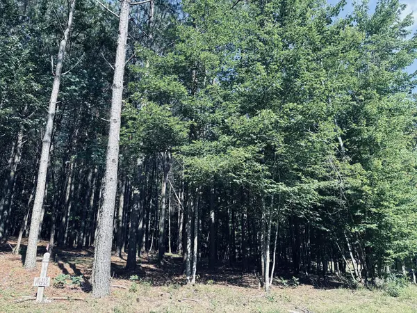 4560 Raulston Falls Road, Jasper, TN 37347