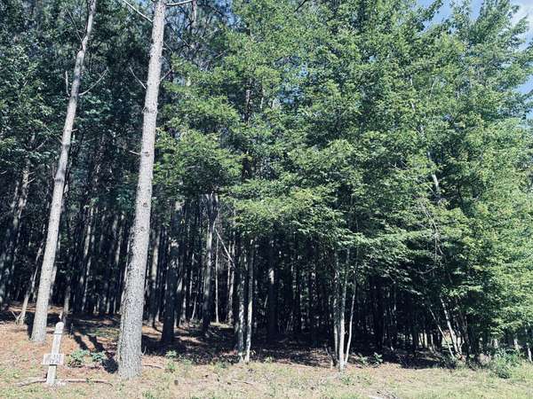 4560 Raulston Falls Road, Jasper, TN 37347