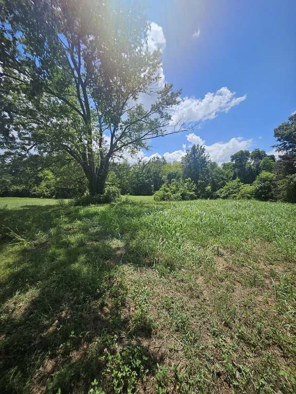 264 Joe B Jackson Pkwy, Murfreesboro, TN 37127
