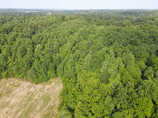 0 Cole Ridge Road, Manchester, TN 37355