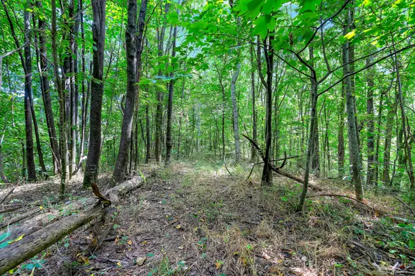 0 Red Hill Rd, Normandy, TN 37360