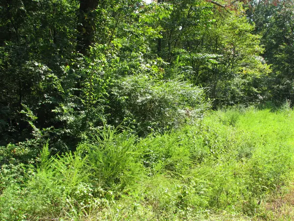 0 Sycamore Landing Rd, Waverly, TN 37185