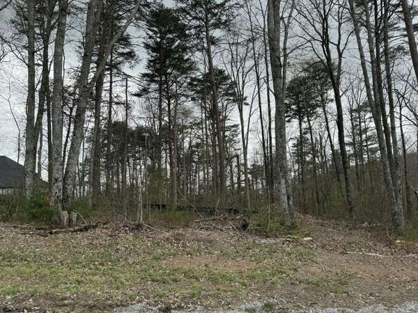 8216 Mountain Laurel Trl, Signal Mountain, TN 37377