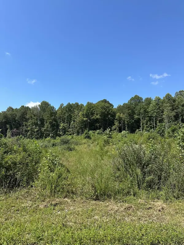 12 Dykes Hollow Road, Tracy City, TN 37387