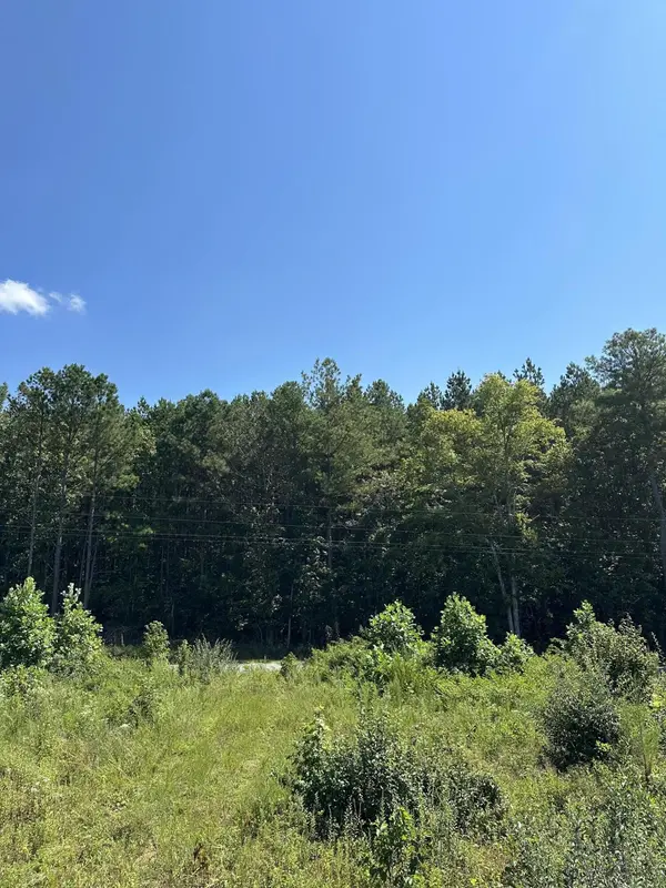 12 Dykes Hollow Road, Tracy City, TN 37387