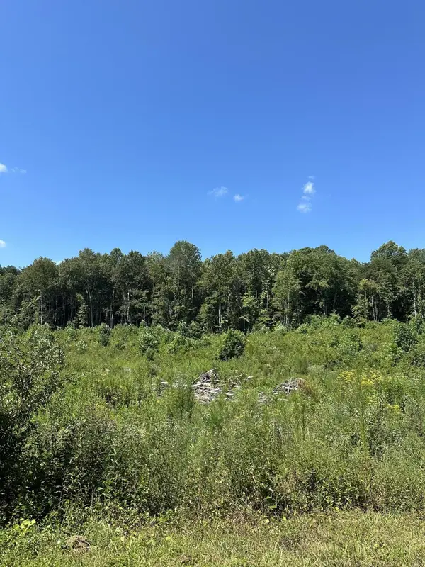 12 Dykes Hollow Road, Tracy City, TN 37387