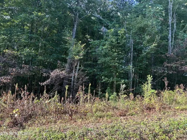 0 Panther Branch Road, Jamestown, TN 38556