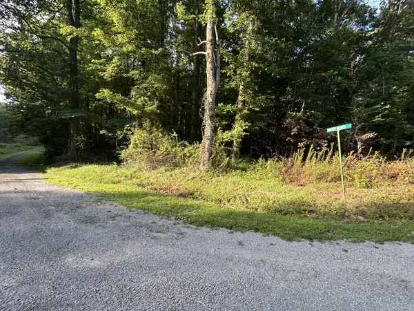 0 Panther Branch Road, Jamestown, TN 38556
