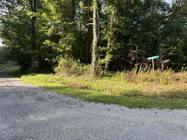 0 Panther Branch Road, Jamestown, TN 38556