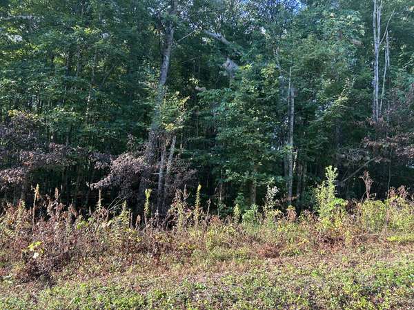 0 Panther Branch Road, Jamestown, TN 38556