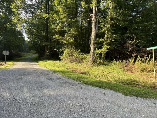 0 Panther Branch Road, Jamestown, TN 38556