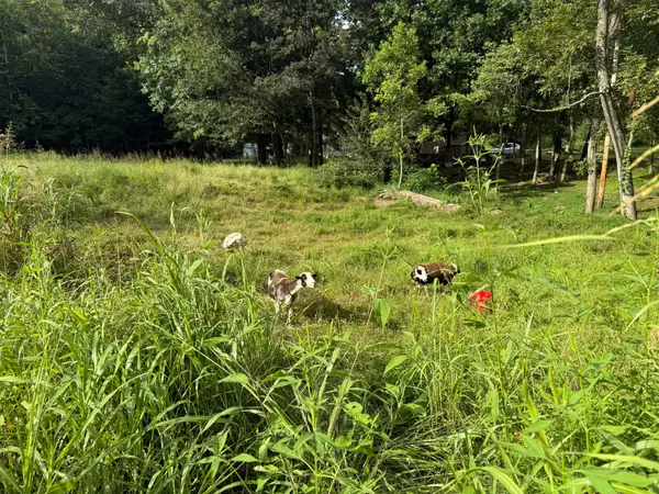 300 Lee Dr, Beaver Dam, KY 42320
