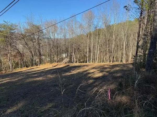 22 Moon Circle, Spring City, TN 37381