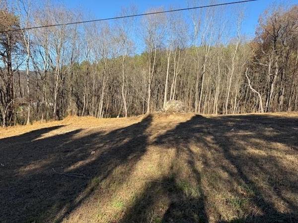 22 Moon Circle, Spring City, TN 37381