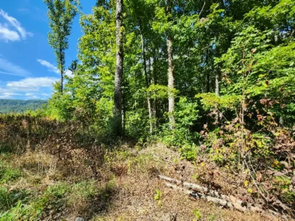 0 Tomahawk Rd, Jamestown, TN 38556