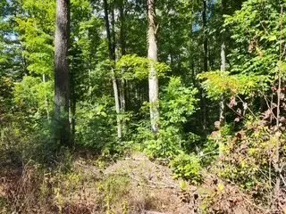 0 Tomahawk Rd, Jamestown, TN 38556