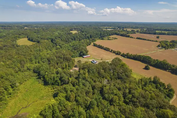 290 Leeford Ln, Cedar Grove, TN 38321