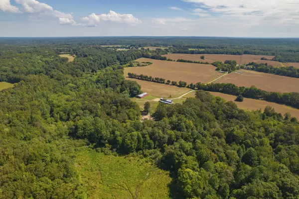 290 Leeford Ln, Cedar Grove, TN 38321