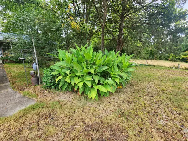 6670 Newstead Rd, Hopkinsville, KY 42240