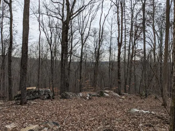 10688 Pine Hill Road, Mc Donald, TN 37353