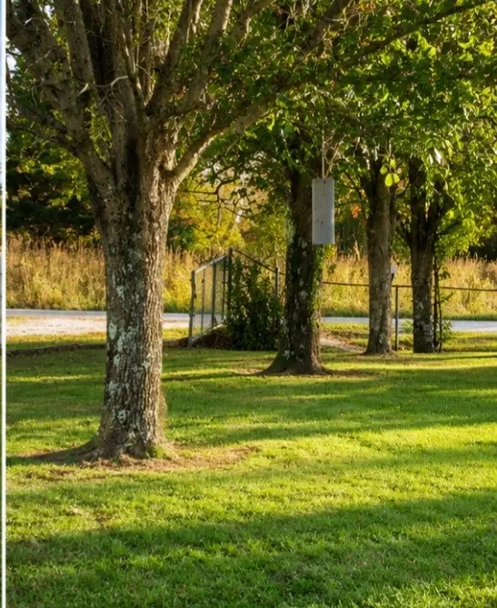 650 Point Mason Rd, Big Sandy, TN 38221