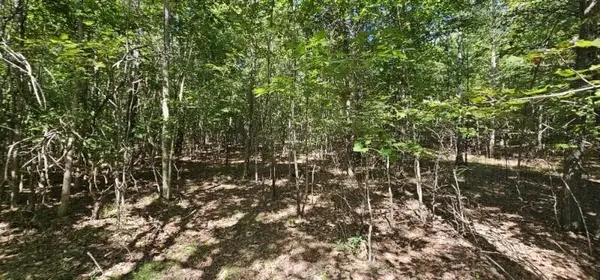327 2 Lake Trl, Dunlap, TN 37327