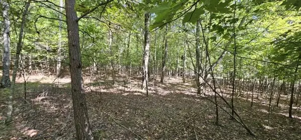 327 2 Lake Trl, Dunlap, TN 37327