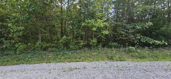 13 Bear Wallow Rd, Dunlap, TN 37327