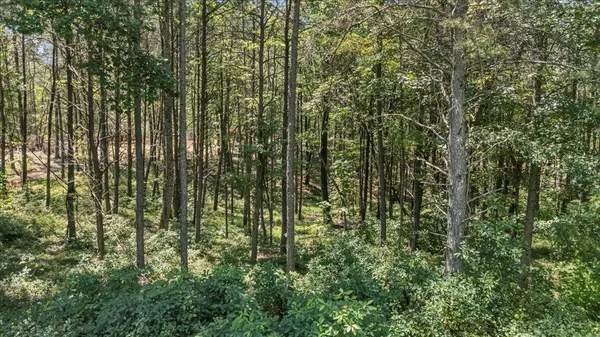 0 Musket Road, Guild, TN 37340