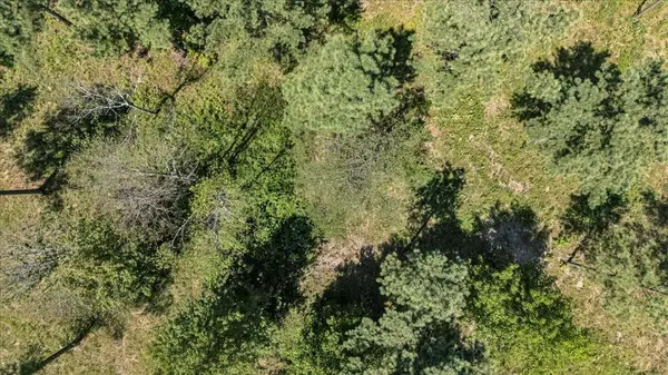 0 Musket Road, Guild, TN 37340